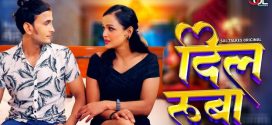 Dil Ruba (2024) S01E03-05 Hindi SolTalkies Hot Web Series 720p Watch Online