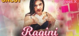 Ragini (2024) Hindi Uncut Meetx Hot Short Film 1080p Watch Online