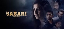 Sabari (2024) Hindi-Tamil CAMRip x264 AAC 1080p Download