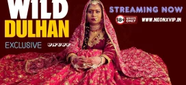 Wild Dulhan 2024 Hindi NeonX Short Films 720p HDRip Download