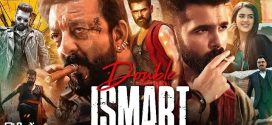 Double Ismart (2024) Hindi PreDVDRip x264 AAC 1080p 720p 480p Download