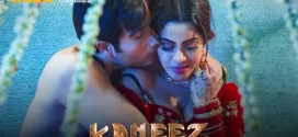 Kaneez (2021) S01 Hindi WEB-DL H264 AAC 1080p 720p 480p Download