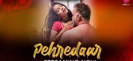 Pehredaar (2022) S01 Hindi PrimePlay WEB-DL H264 AAC 1080p 720p 480p Download