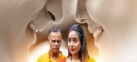 Tailor Kaka 2024 Hindi Season 01 Part 02 WEB Series 720p WEB-DL Download