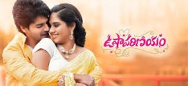 Usha Parinayam (2024) Hindi Telugu CAMRip x264 AAC 1080p Download