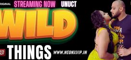 Wild Things 2024 Hindi NeonX Short Films 720p WEB-DL Download