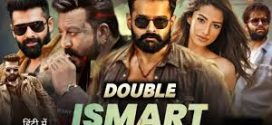 Double Ismart (2024) Hindi WEB-DL x264 AAC 1080p 720p Download