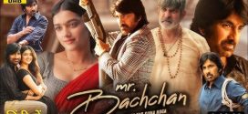 Mr. Bachchan (2024) Dual Audio [Hindi HQ-Telugu] WEB-DL H264 AAC 1080p 720p 480p Download