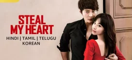 Steal My Heart (2013) Dual Audio [Hindi-Korean] AMZN WEB-DL H264 AAC 1080p 720p 480p ESub