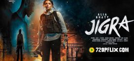 Jigra (2024) Hindi HDTS x264 AAC 1080p 720p 480p Download