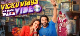 Vicky Vidya ka Woh Wala Video (2024) Hindi CAMRip x264 AAC 1080p 720p Download