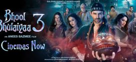 Bhool Bhulaiyaa 3 (2024) Hindi HDTC x264 AAC 1080p 720p 480p Download