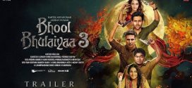 Bhool Bhulaiyaa 3 (2024) Hindi CAMRip x264 AAC 1080p 720p Download