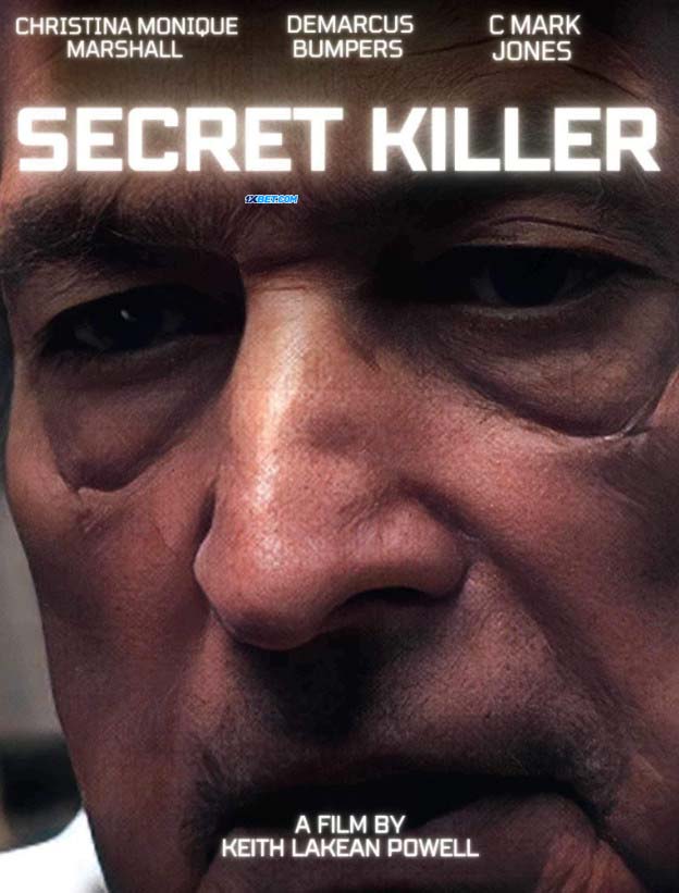 Secret Killer (2024) Hindi 720p WEBRip x264 AAC