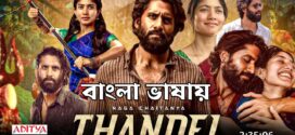 Thandel (2025) Bengali Dubbed 1080p WEBRip x264 AAC