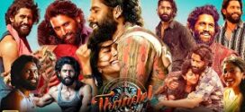 Thandel (2025) Dual Audio [Hindi-Telugu] WEB-DL H264 AAC 1080p 720p 480p Download